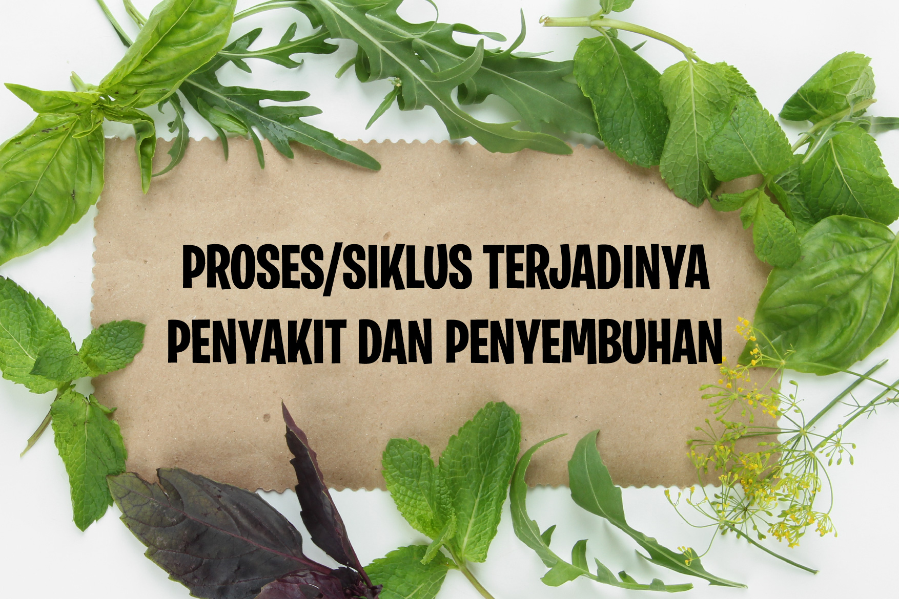 https://www.haiiherbal.com/storage/images/1747100609_TerjadinyaPenyaktdanPenyembuha-01.jpg